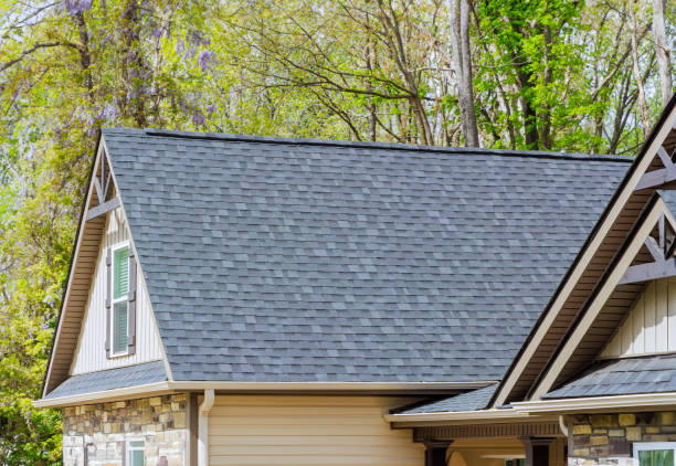 Best Solar Panel Roofing Installation  in Malakoff, TX