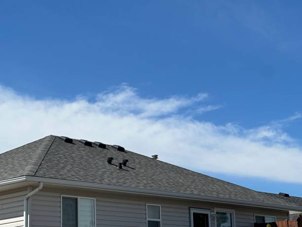 Best Gutter Replacement  in Malakoff, TX